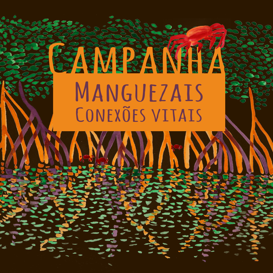 Lançamento da Campanha Manguezais Conexões Vitais